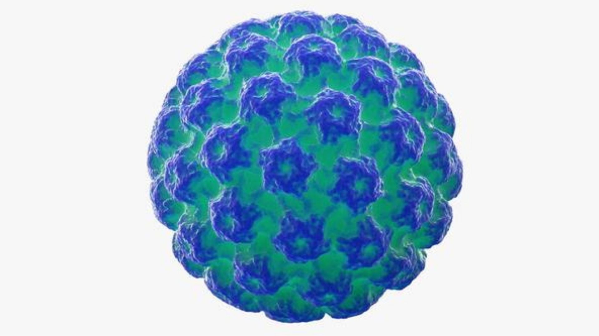 Microbiota vaginal, sistema inmune y el Virus del Papiloma Humano