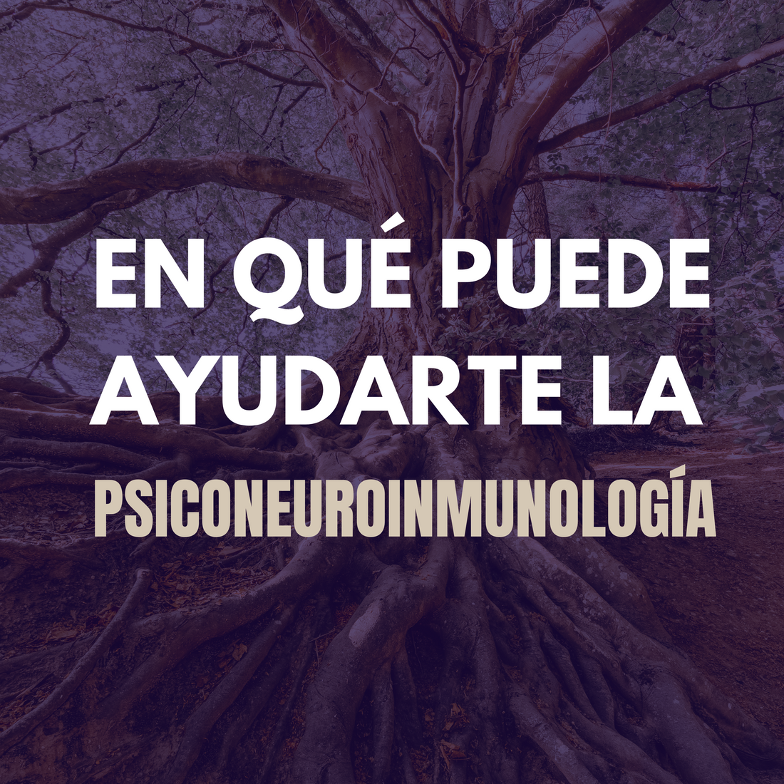 ¿CÓMO TE PUEDE AYUDAR LA PNIE?