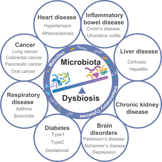 Microbiota y cáncer: La influencia invisible en la salud y la enfermedad