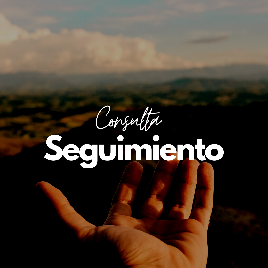 Pack de 3 seguimientos - Carolina