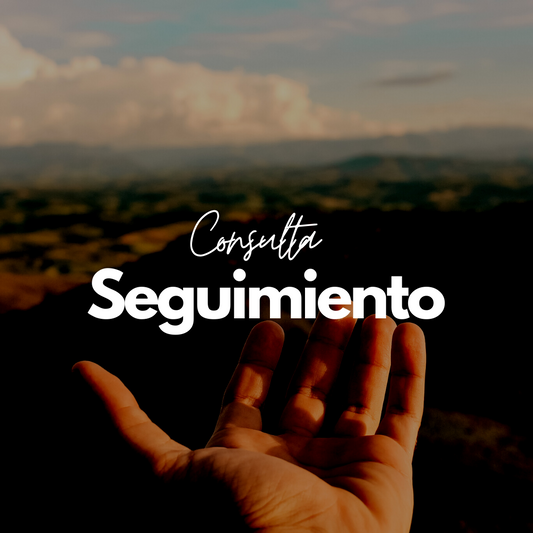 Seguimiento - Carla